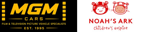 Platinum sponsors